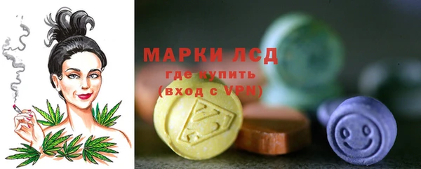прущие грибы Алзамай