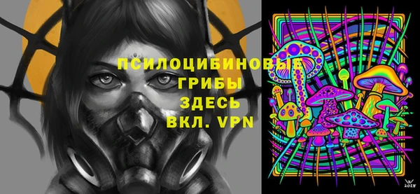 стафф Абинск