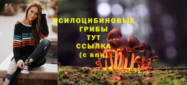 прущий лед Алексин