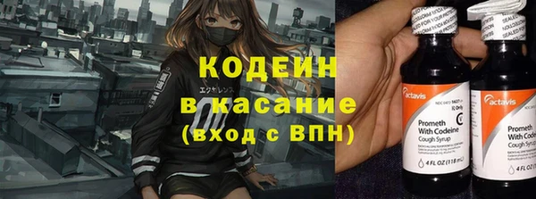 прущие грибы Алзамай