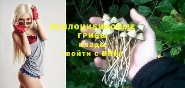 прущий лед Алексин