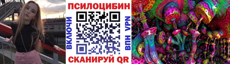 OMG онион  закладка  Черемхово  Псилоцибиновые грибы MAGIC MUSHROOMS 