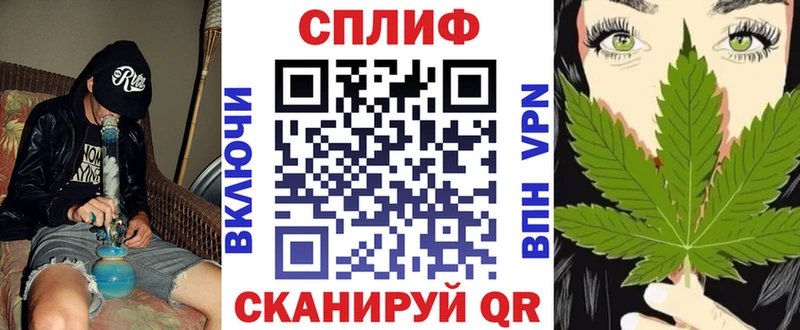 Бошки Шишки White Widow  наркотики  Черемхово 